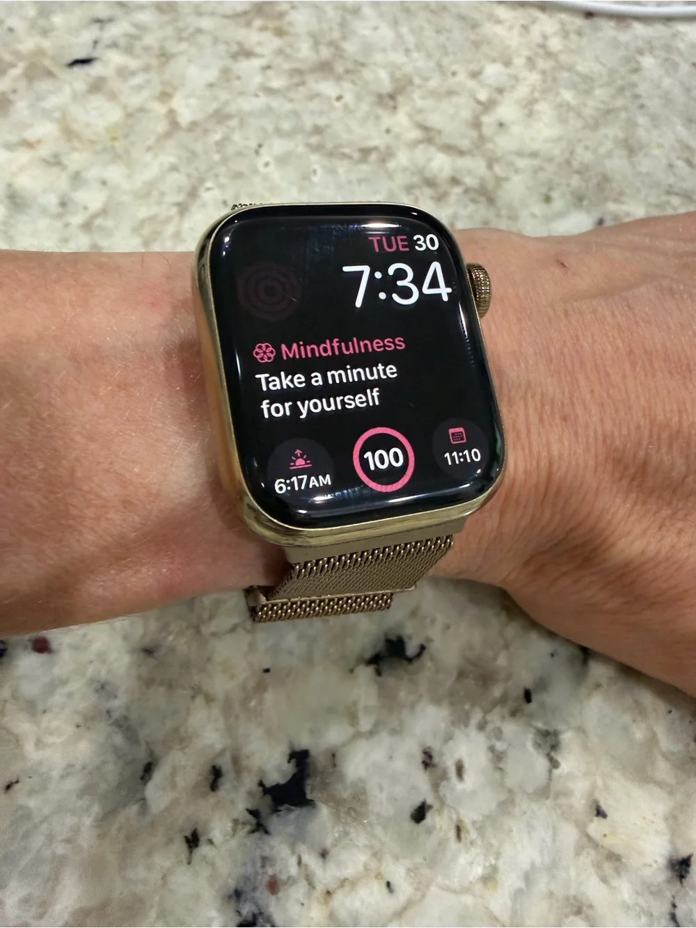 Apple Watch Series 8 Gold Case with Gold Milanese Loop and Grey Sport Band