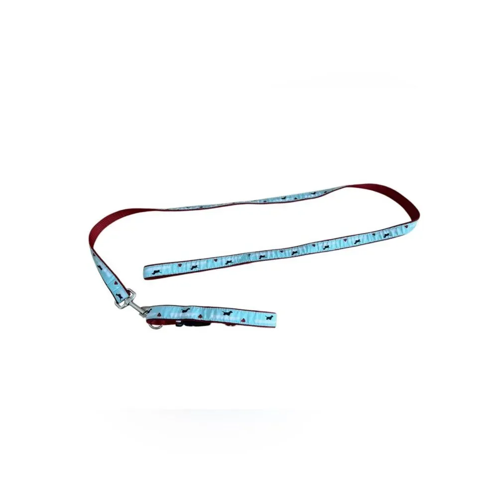 Salty Black Lab with Skiff & Bouy Dog Collar and Leash Duo