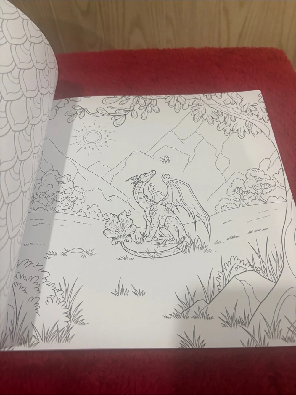 The 10-Year Celebration Coloring Book n fourth wing extrem coloring