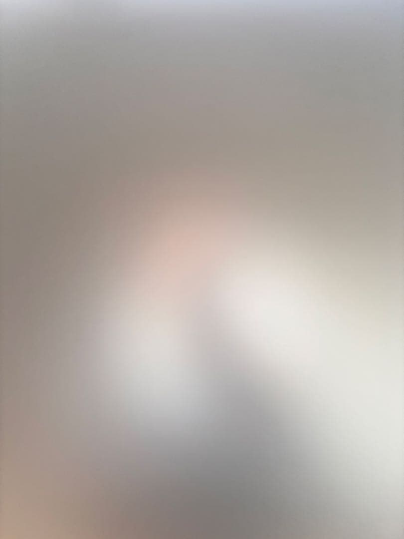 Projector Screen